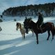 pietralata neve 075